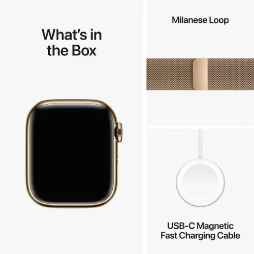 Apple Watch Series 9 41 mm LTE Milanaise Loop von techkistli.ch