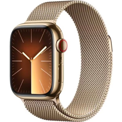 Apple Watch Series 9 41 mm LTE Milanaise Loop von techkistli.ch