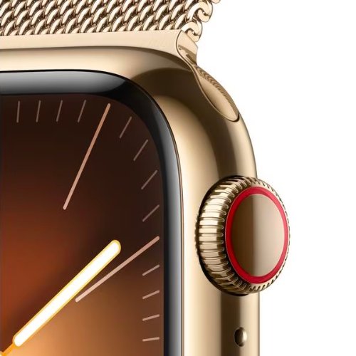 Apple Watch Series 9 41 mm LTE Milanaise Loop von techkistli.ch